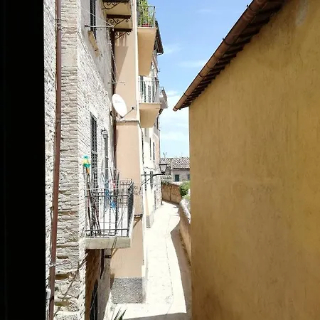 La Fragola Viola *